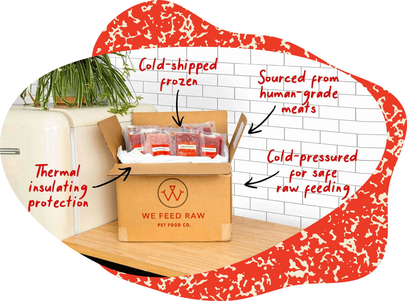 Raw Dog Food Delivery Company We Feed Raw