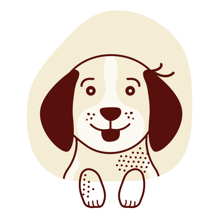 Raw Dog Food Subscription We Feed Raw