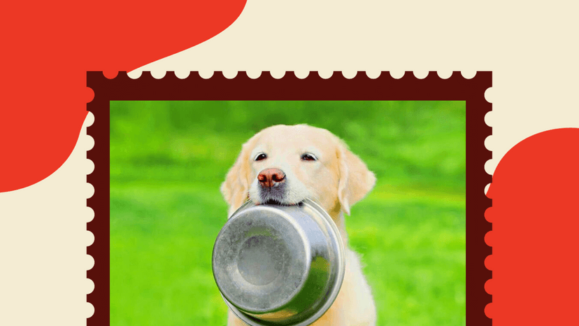 The Ultimate Guide to Feeding Your Furry Friend (2)