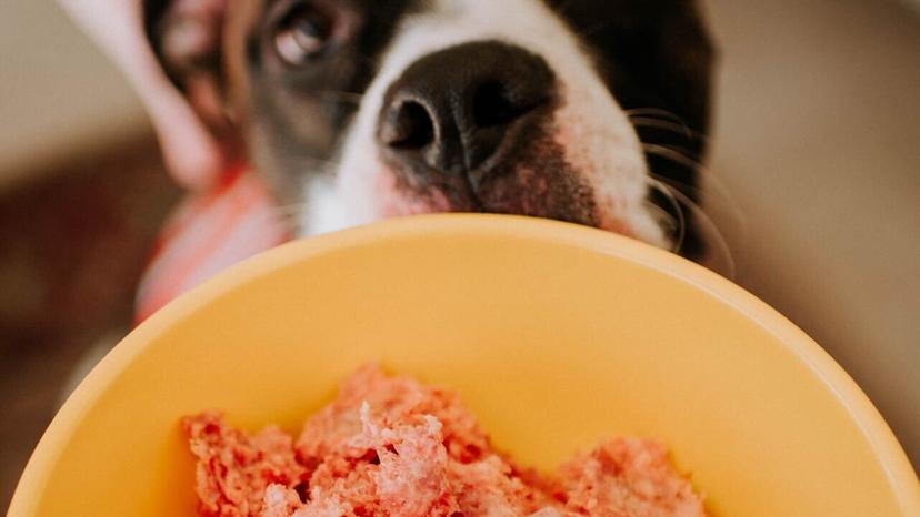How much raw food to feed your dog